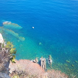 High angle view of beach