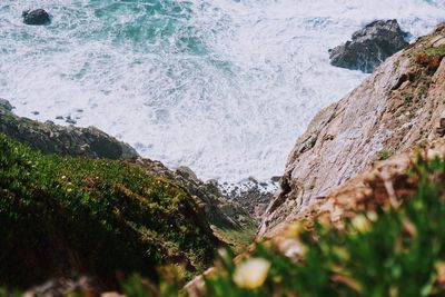 Scenic view of sea shore