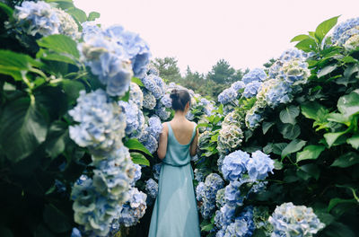 Low section of woman standing by flowering plants