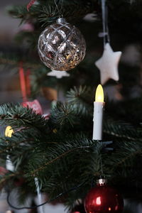 Close-up of illuminated christmas tree