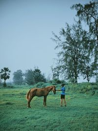 Horses standing in land