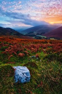 Scenic view of field against sky during sunset