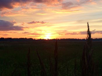 Scenic view of field against sky during sunset