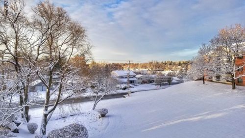 Bare trees on snow covered landscape