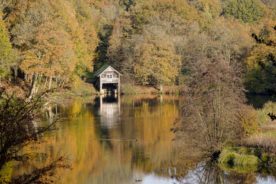 Reflection of trees in lake during autumn