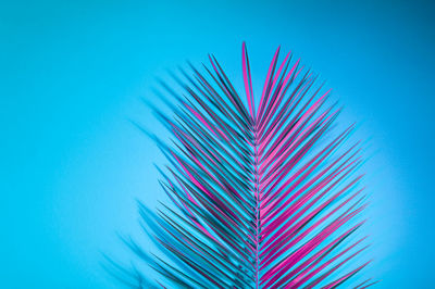 Close-up of palm leaves against blue sky