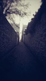 Narrow alley along buildings