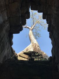 Low angle view of rock formation against sky