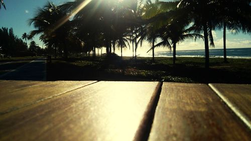 Palm trees on beach against sky during sunset