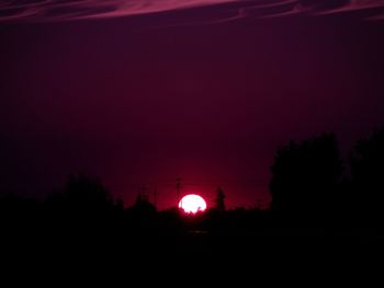 Silhouette of trees at sunset