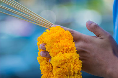 Cropped hands of man holding incense sticks with floral garland in temple