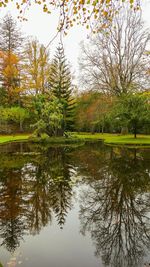 Scenic view of lake in forest against sky