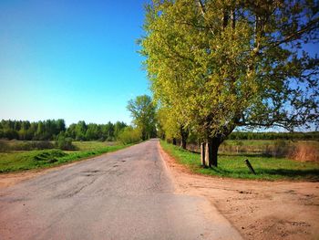 Road amidst trees against sky