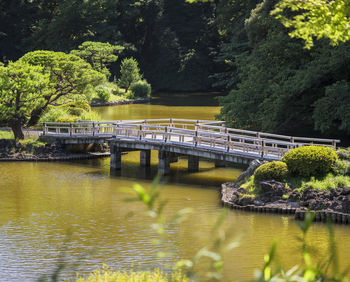 Upper pond's zigzag shaped bridge and the pine and maple forests of a traditional japanese garden.