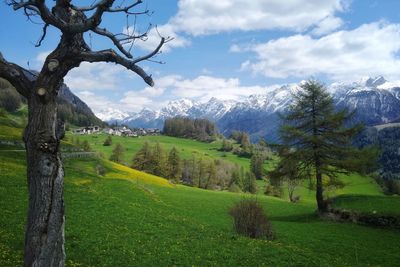 Scenic view of grassy field against cloudy sky