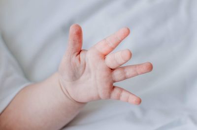 Cropped hand of woman with hands