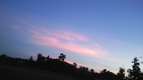 Silhouette of trees against sky at sunset