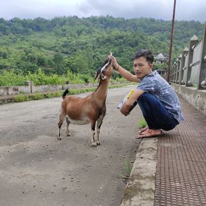 Full length of boy with goat