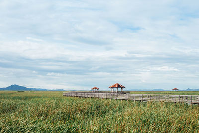 Horses on field against sky