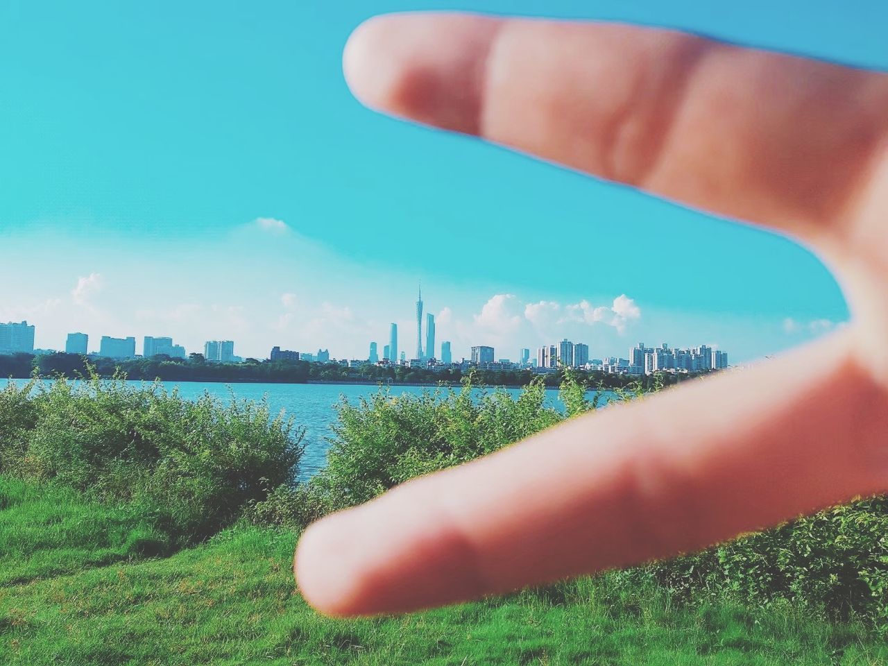 human hand, hand, human body part, one person, sky, building exterior, body part, finger, nature, plant, human finger, real people, built structure, architecture, grass, unrecognizable person, city, day, lifestyles, outdoors, office building exterior, skyscraper