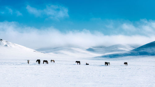 Panoramic view of people on snowcapped mountain