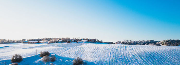 Rear view of woman walking on snow covered landscape against clear blue sky