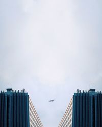 Low angle view of birds flying in city against sky