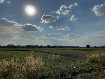 Scenic view of field against sky