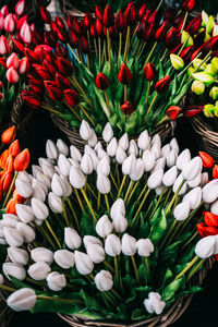 High angle view of tulips in basket for sale at market stall