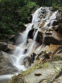 Scenic view of waterfall in forest