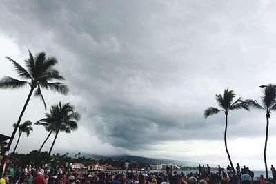 People by palm trees against sky