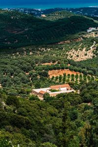 High angle view of buildings in forest