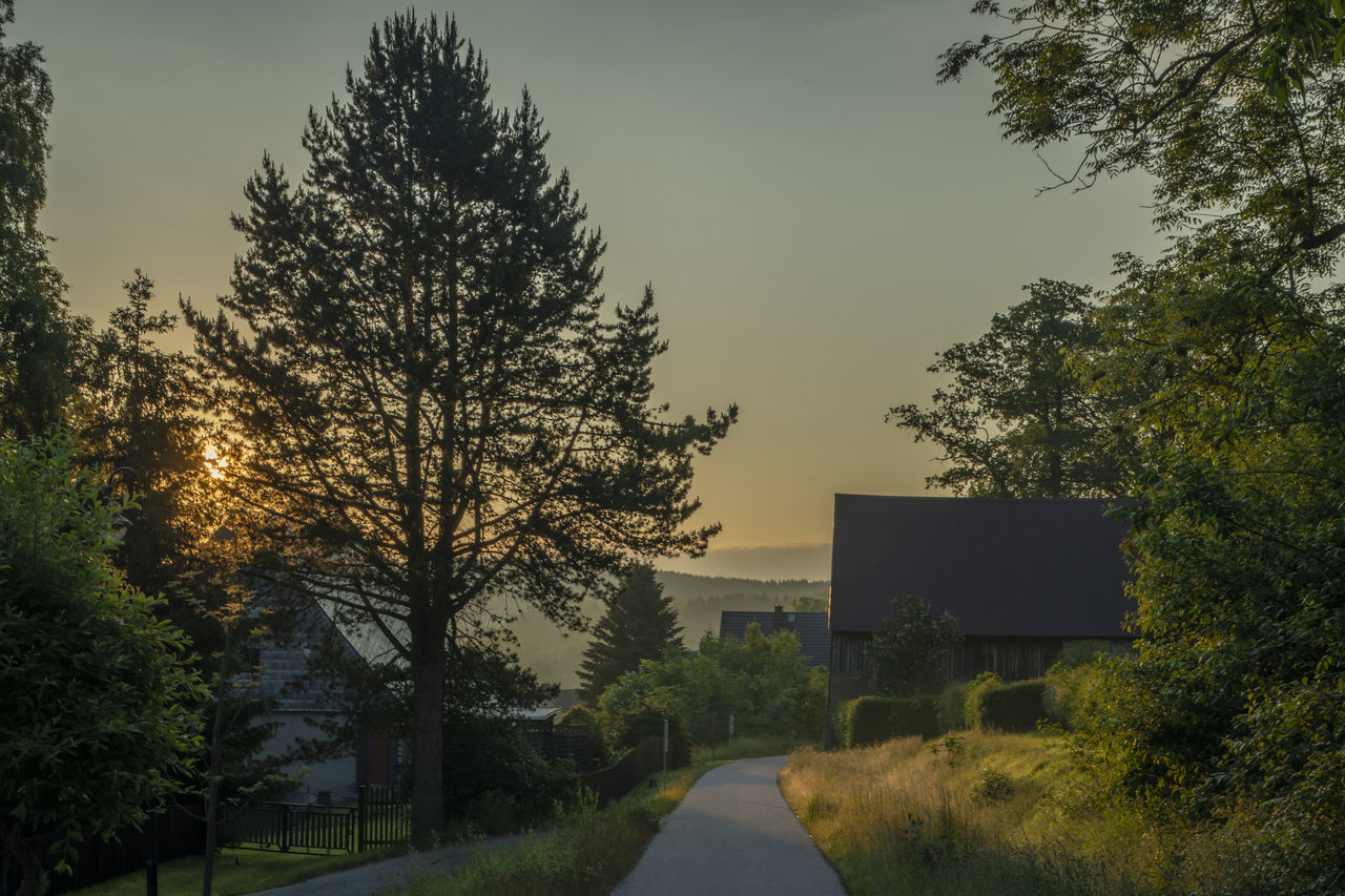 tree, plant, morning, nature, sky, architecture, sunlight, built structure, road, no people, building exterior, rural area, autumn, city, building, house, landscape, grass, leaf, outdoors, transportation, beauty in nature, footpath, dusk, the way forward, street, growth, cloud