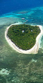 High angle view of sea shore