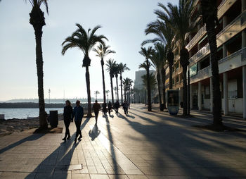 People on palm trees by sea against sky