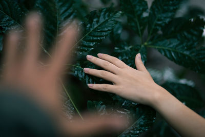 Midsection of woman touching plant