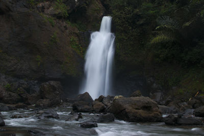 Scenic view of waterfall in forest