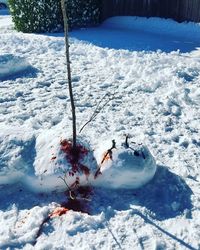 Frozen tree on field during winter