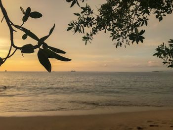 Scenic view of sea against sky at sunset