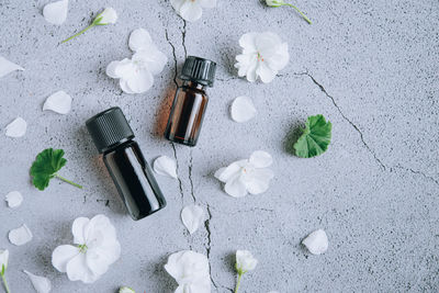 Front view of glass bottles of geranium essential oil with fresh white flowers and petals 