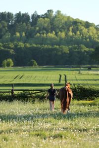 Horse on field