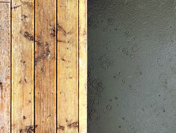 Close-up view of leaf