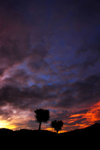 Silhouette trees on field against sky at sunset