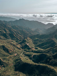 environment