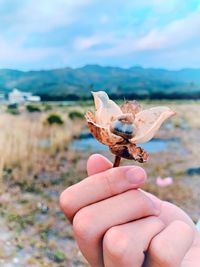 Close-up of person holding stick
