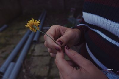 Midsection of woman holding flower