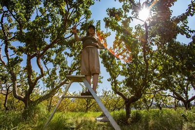 Low angle view of woman against plants