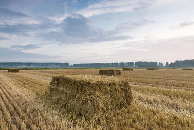 Hay bales on field against sky