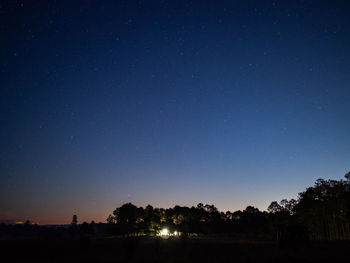 Silhouette trees against clear sky at night