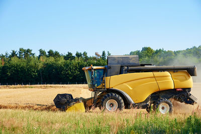 Combine harvester harvesting golden ripe wheat in agricultural field